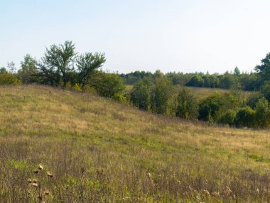 Doğanın mavi gökyüzüne karşı manzarası