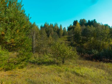 Doğanın mavi gökyüzüne karşı manzarası