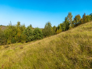 Doğanın mavi gökyüzüne karşı manzarası
