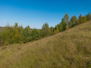 Doğanın mavi gökyüzüne karşı manzarası