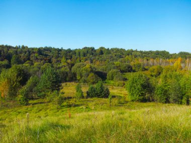 Doğanın mavi gökyüzüne karşı manzarası