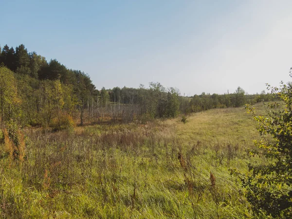 Landskap Naturen Mot Den Blå Himlen — Stockfoto