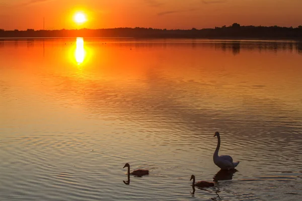 Pôr Sol Bonito Brilhante Lagos Bielorrussos — Fotografia de Stock