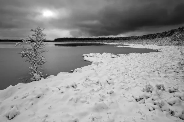 Winter Landscapes Belarusian Lakes First Snow Beauty Silence — Stock Photo, Image