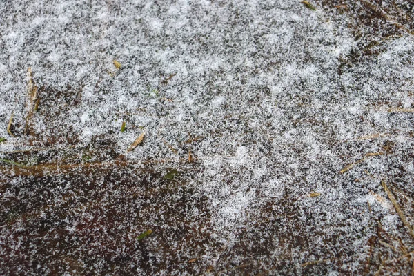Текстура Льда Покрыта Снегом Замерзшая Вода Снег — стоковое фото