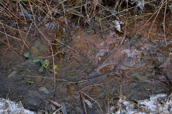 Pollution of nature. Environmental pollution. Dirty creek