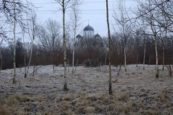 Kościół Pole Zimowe Drzewa Kościół Suszona Trawa Zimnej Porze Roku — Zdjęcie stockowe