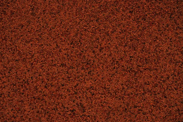 The texture of a large number of small stones with a red tint. Background from a large number of small stones.