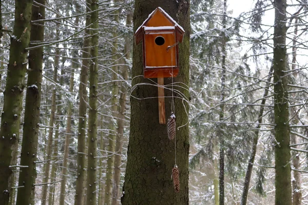 Wooden bird house on a tree in the forest. Bird feederbird