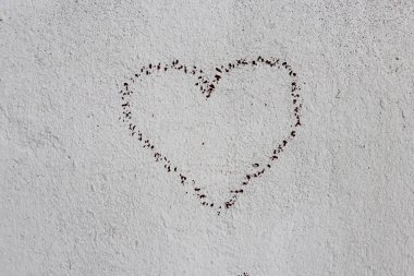 Beyaz bir duvara eski bir kalp çizimi.