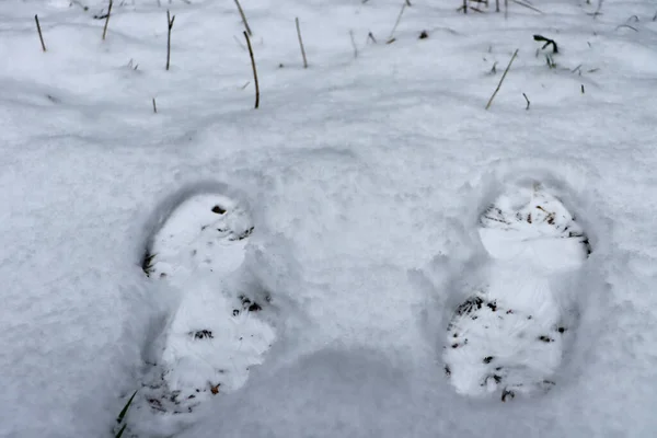 Pegadas Sapatos Neve — Fotografia de Stock