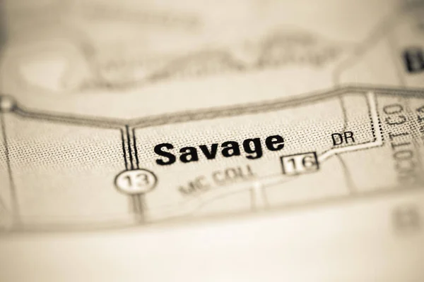 Savage Mapa Geográfico Estados Unidos —  Fotos de Stock