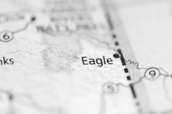 Eagle on a geographical map of USA
