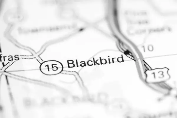 Blackbird. Delaware. USA on a geography map