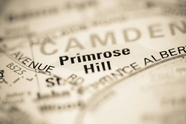 イギリスの地図上のプリムローズ — ストック写真