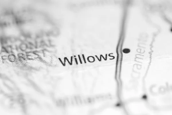 Willows Geography Usa — 스톡 사진