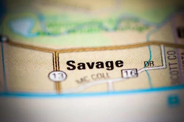 Savage on a geographical map of USA