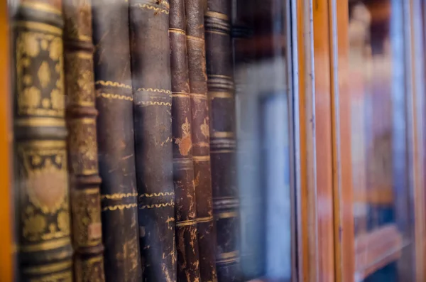 Eski antika kitaplar eski bir kütüphanenin eski rafında dikey olarak diziliydi. Nadir bulunan akademik başlıklar camın içinden güzel sıcak ışık yansımaları ile görülüyordu.