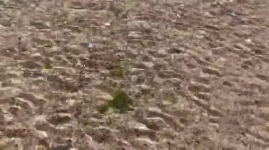 Deniz suyunun yüzeyinde küçük dalgalanmalar