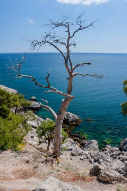 Sudak kenti ve Novy Svet köyü yakınlarındaki Karadeniz 'in Kırım kıyıları.