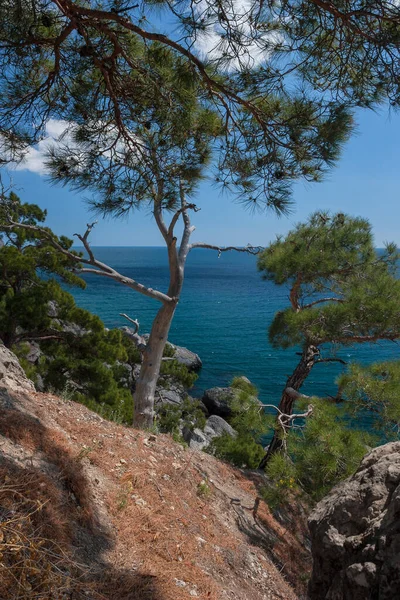 Sudak kenti ve Novy Svet köyü yakınlarındaki Karadeniz 'in Kırım kıyıları.