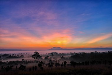 Twilight of Beautiful sunrise   and Foggy clouds in forest at Th