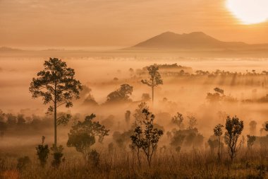 Thung Salaeng Lua ormanda güzel gün batımı ve Foggy bulutlar