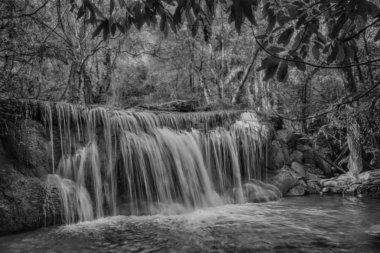 Siyah ve beyaz sesi Huay Mae Kamin şelale Kanchanaburi PR