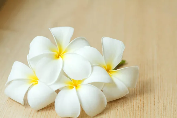 Plumeria blumen frische oder frangipani tropische blumen auf holz ta — Stockfoto