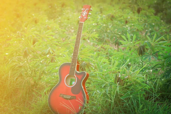 Enfoque borroso y suave de la guitarra en la hierba al atardecer, tono vintage —  Fotos de Stock