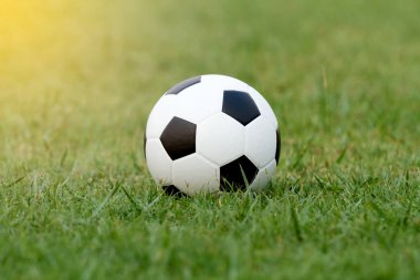 Futbol topu ve futbol Futbol Stadyumu güneşin çimenlerin üzerinde
