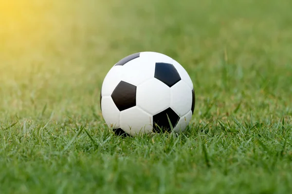 Soccer ball and Football on grass at football stadium in the sun — Stock Photo, Image