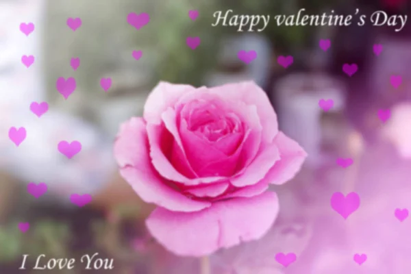 Blurry of pink rose flower Background and Valentines Day backgro — Stock Photo, Image