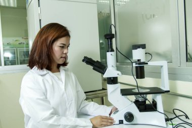 Multichan ile çalışan genç kadın teknik ya da kadın Asya bilim adamı