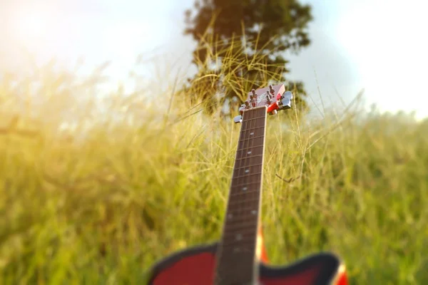 Enfoque borroso y suave de la guitarra en la hierba al atardecer —  Fotos de Stock