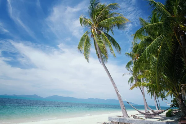 Coconut palm tree on sunshine and sandy beach and tropical sea a — Stock Photo, Image