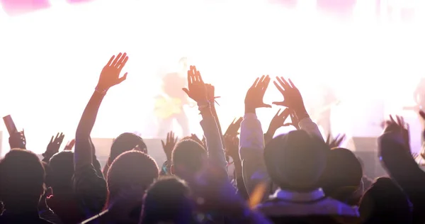 Siluetas de la multitud de conciertos en Vista trasera de la multitud del festival rais — Foto de Stock