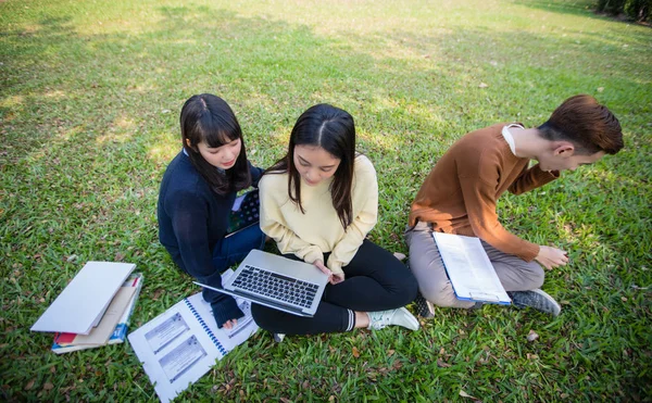 Groep van de studenten van de Universiteit Aziatische zittend op het groene gras W — Stockfoto