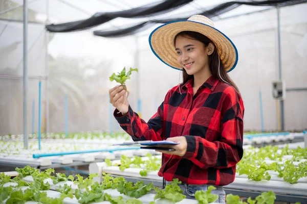 Asian Woman Farmer Using Tablet Notebook Inspecting Quality Organic Vegetables — Stock Photo, Image