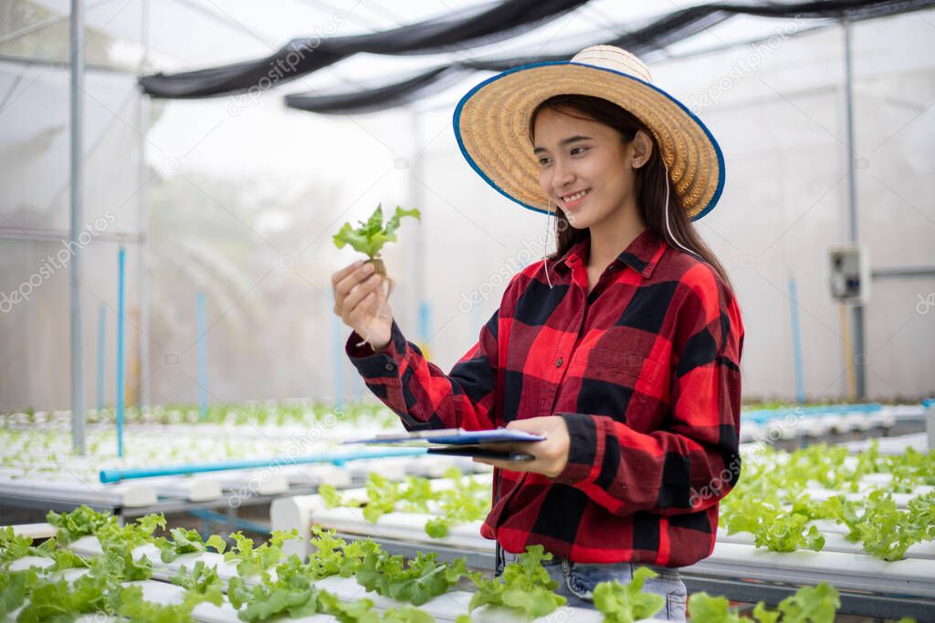 Asian woman farmer using tablet and notebook for inspecting the quality of organic vegetables grown using hydroponics.