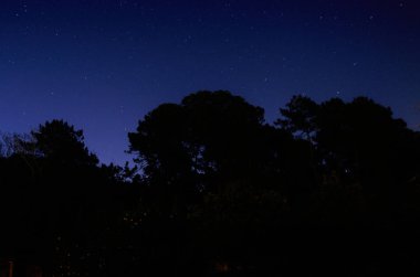 Gece gökyüzü fotoğrafı