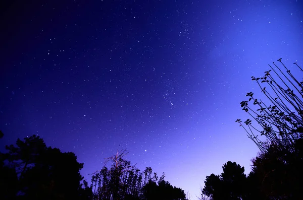 Nachthimmel Foto — Stockfoto