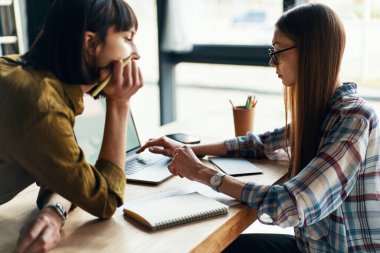 Back view of two young woman working in modern office using laptop and smart phone