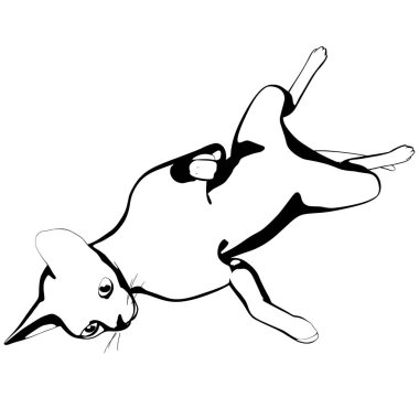 Beyaz arka planda kedi resmi. Sphynx siluet vektörü