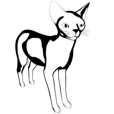 Beyaz arka planda kedi resmi. Sphynx siluet vektörü