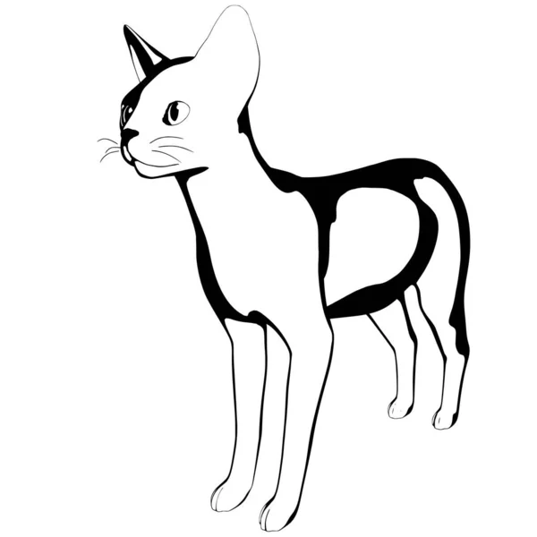 Croquis Chat Sur Fond Blanc Vecteur Silhouette Sphynx — Image vectorielle