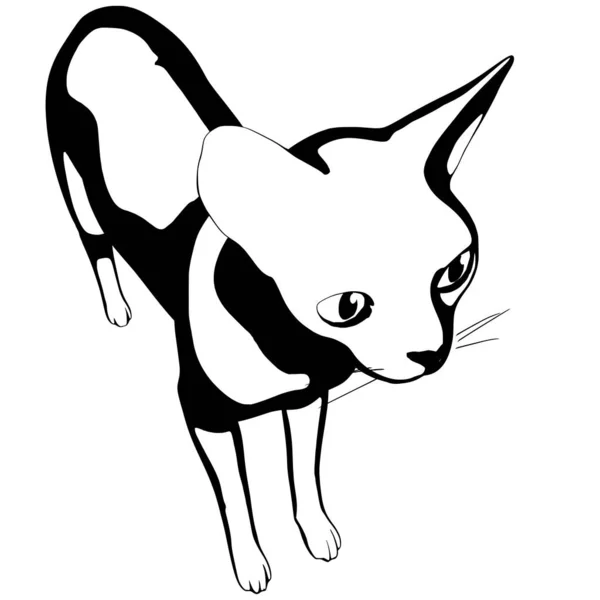 Desenho Gato Sobre Fundo Branco Vetor Silhueta Esfinge — Vetor de Stock