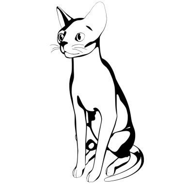 Beyaz arka planda kedi resmi. Sphynx siluet vektörü, evcil hayvan çizimi