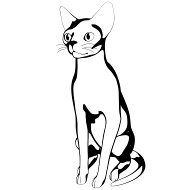 Beyaz arka planda kedi resmi. Sphynx siluet vektörü, evcil hayvan çizimi