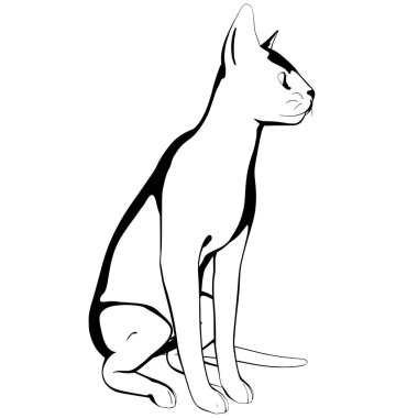 Beyaz arka planda kedi resmi. Sphynx siluet vektörü, evcil hayvan çizimi